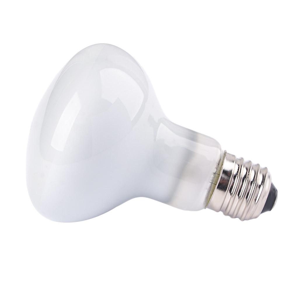 Basking Bulb Halogen - 両生類用温度調節器ヒーター、ハロゲン電球、UVAライト、爬虫類用バスキングライト