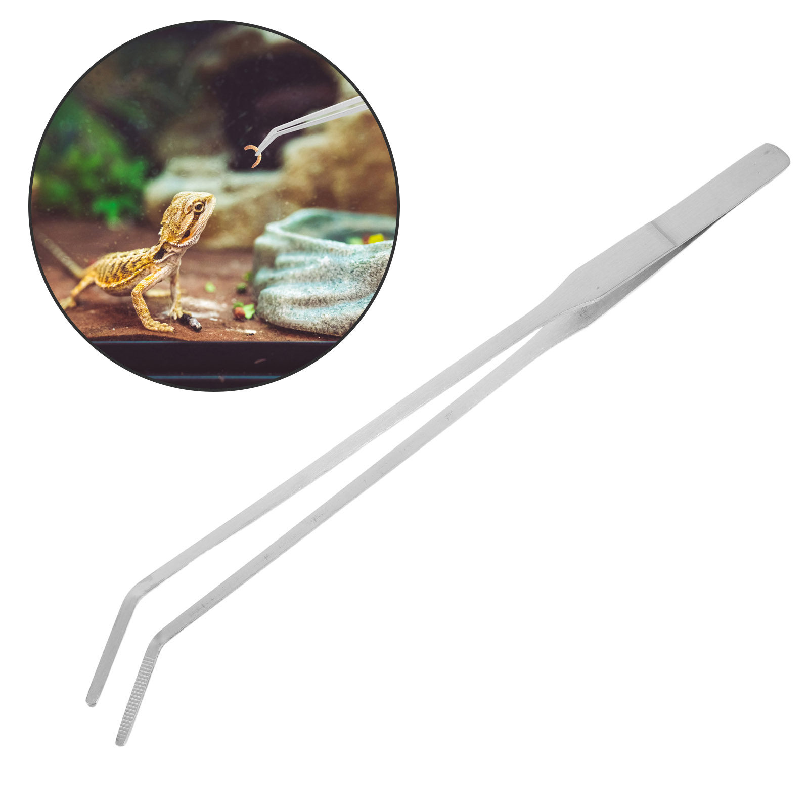 6本セット、爬虫類用餌入れ用ピンセット、ステンレス製、水槽用 - Feeding Tong Stainless のレビューと価格