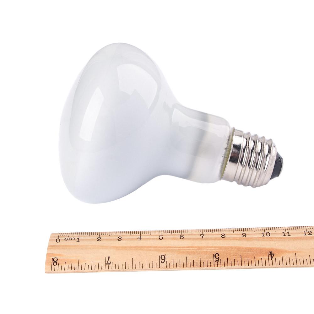 カメ用ヒーター、温度調節器、ハロゲン電球、日光浴用ライト、U - Basking Bulb Halogen のレビューと価格