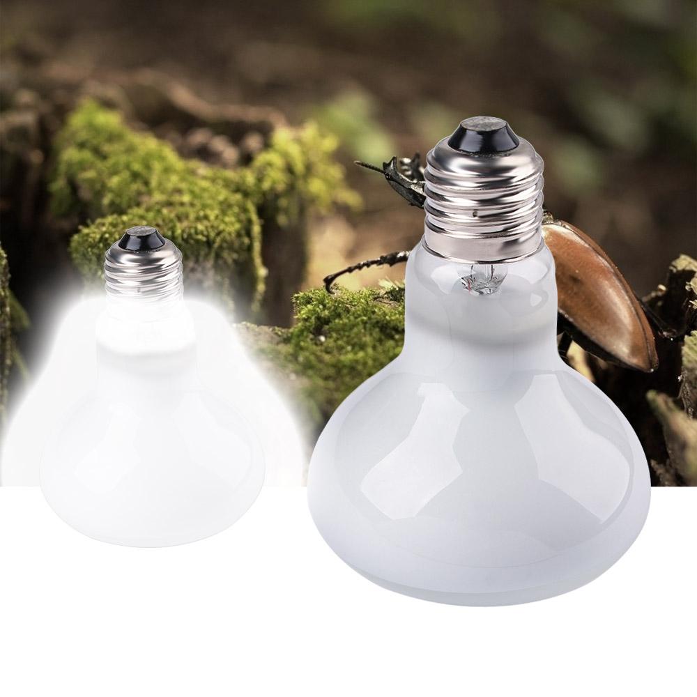 カメ用ヒーター、加熱ランプ、日光浴用ライト、爬虫類用ハロゲン - Basking Bulb Halogen のレビューと価格